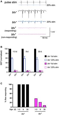 The retrograde IFT dynein is required for normal function of diverse mechanosensory cilia in Drosophila